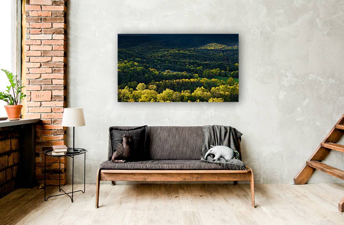 Shenandoah Forest Sunset Reproduction