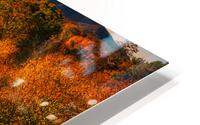 Autumn Hill HD Metal print