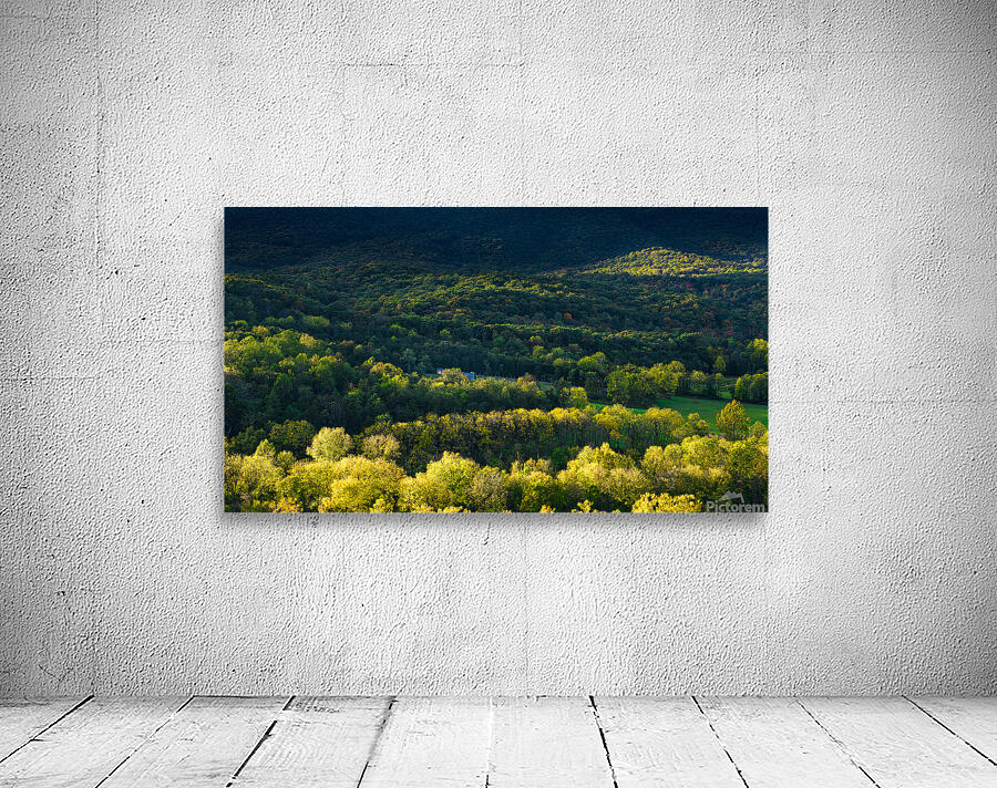 Shenandoah Forest Sunset Wall Preview