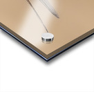  A0A1861 Acrylic print