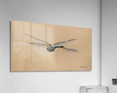  A0A1861 Acrylic Print