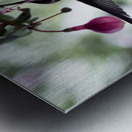 IMG 8185 Metal print