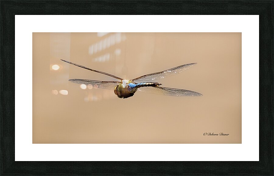  A0A1861 Picture Frame print