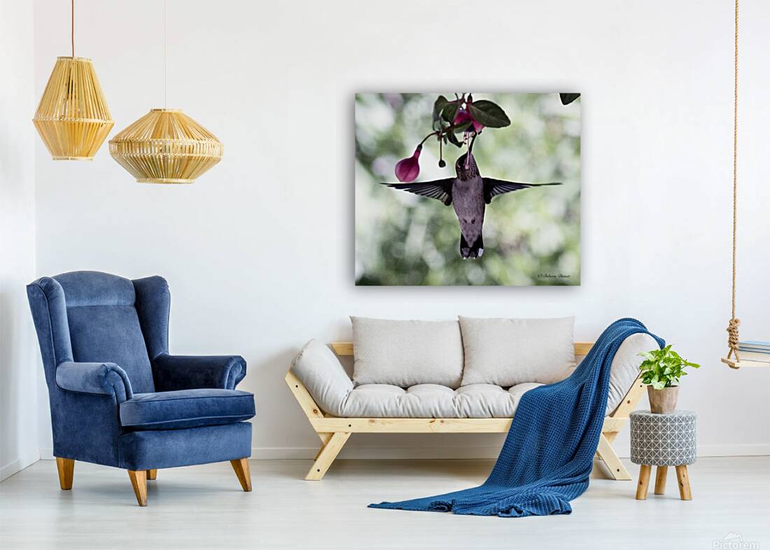 IMG 8185 Reproduction