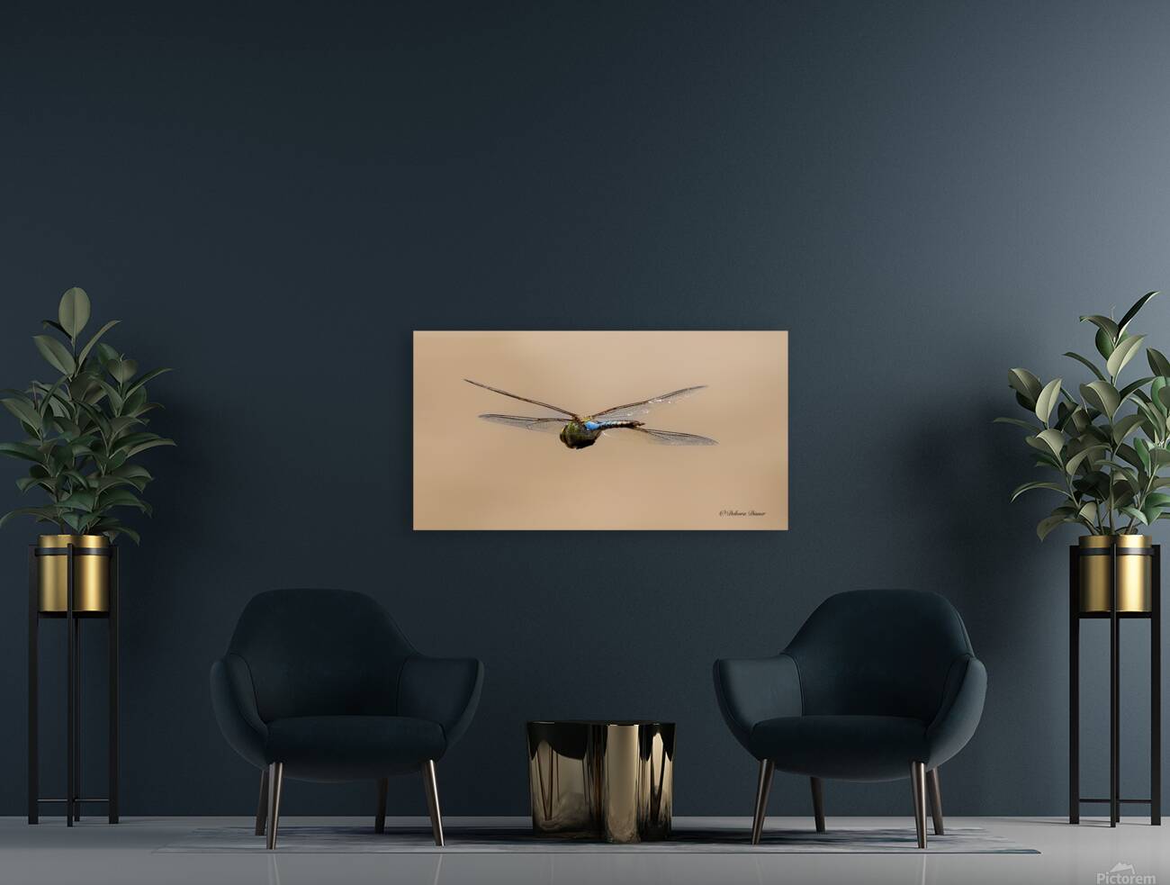  A0A1861 Reproduction