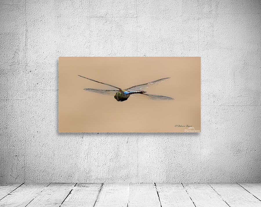  A0A1861 Wall Preview