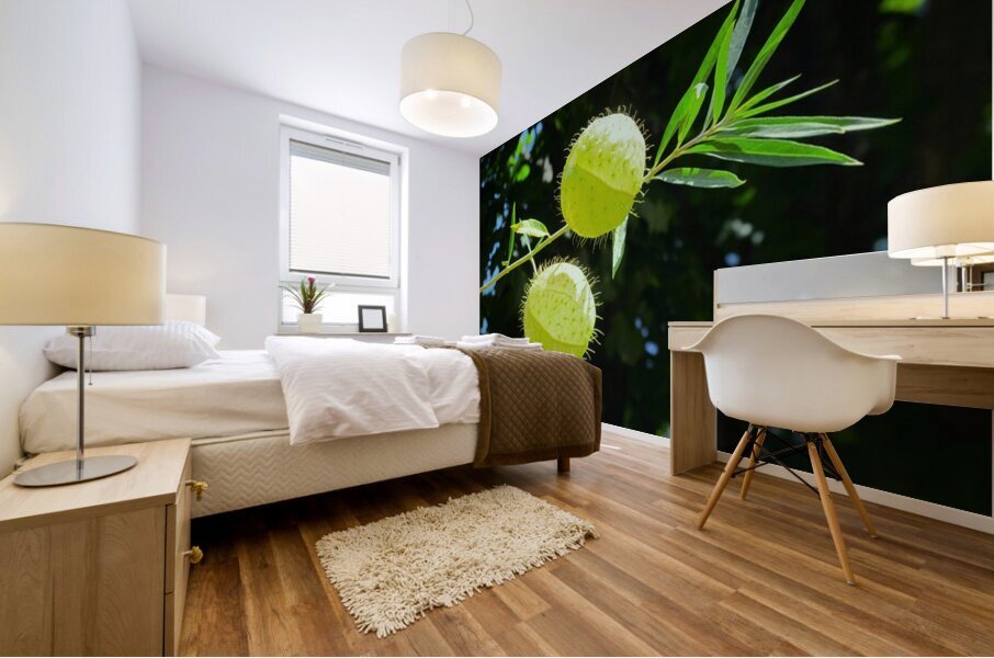 Flying balls Mural print