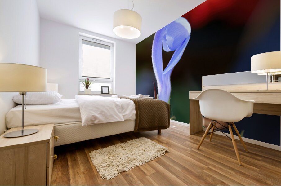Blue salvia Mural print