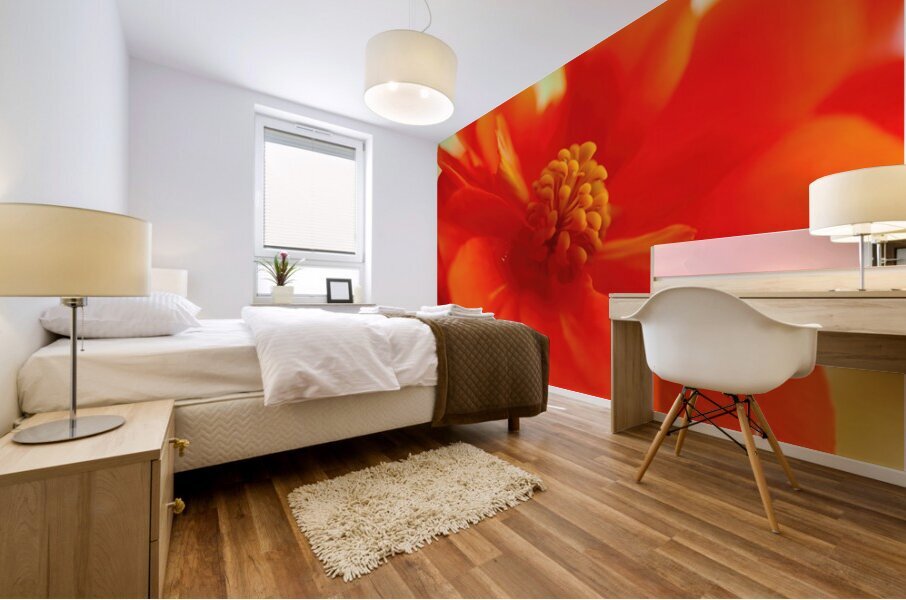 Geranium close up Mural print