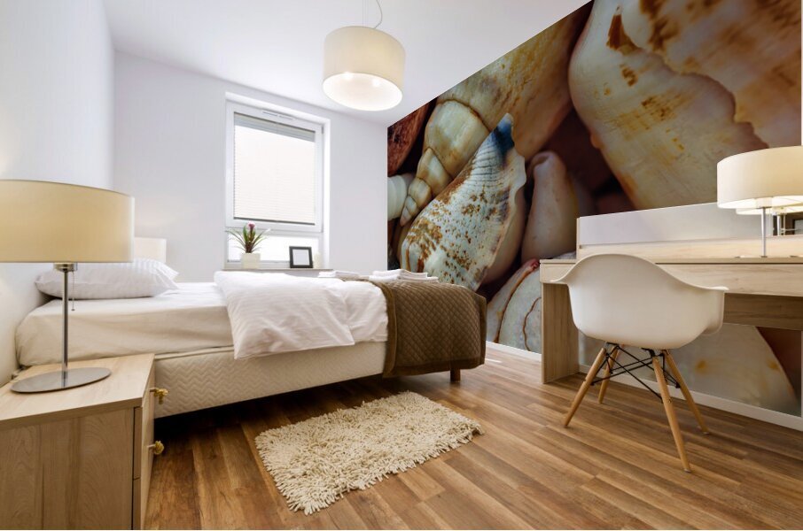 Tropical shells 2 Mural print