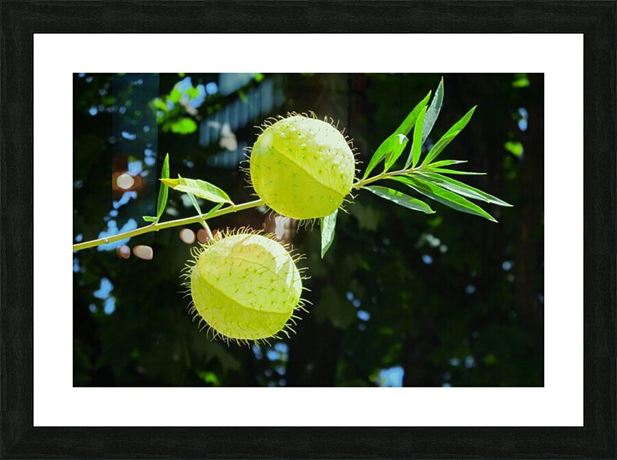 Flying balls Picture Frame print