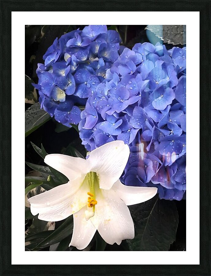 Blue and white Picture Frame print