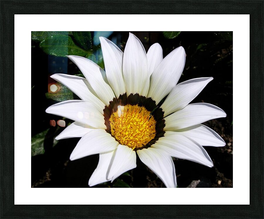 Black and white Picture Frame print