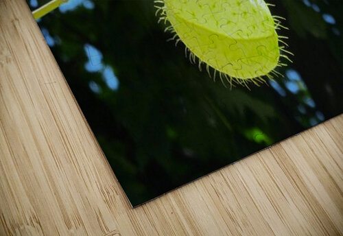 Flying balls Guy Hee Photography puzzle