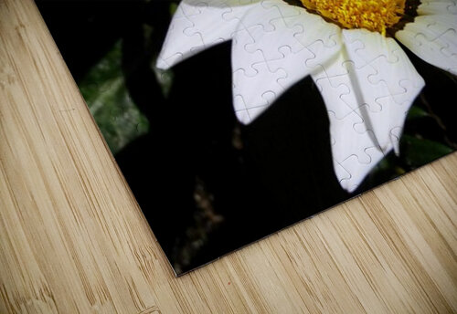 Black and white Guy Hee Photography puzzle