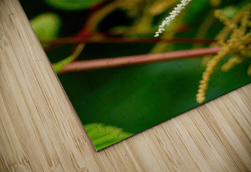 Misty lace Guy Hee Photography puzzle