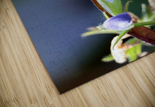 Blue salvia Guy Hee Photography puzzle