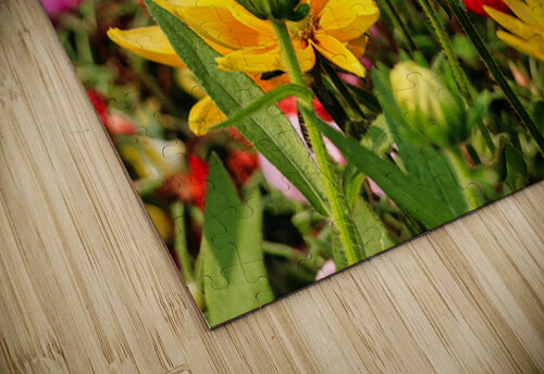 Yellow daisies 2 Guy Hee Photography puzzle