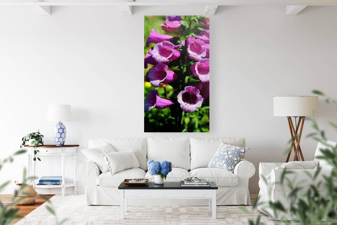 Pink foxgloves Reproduction