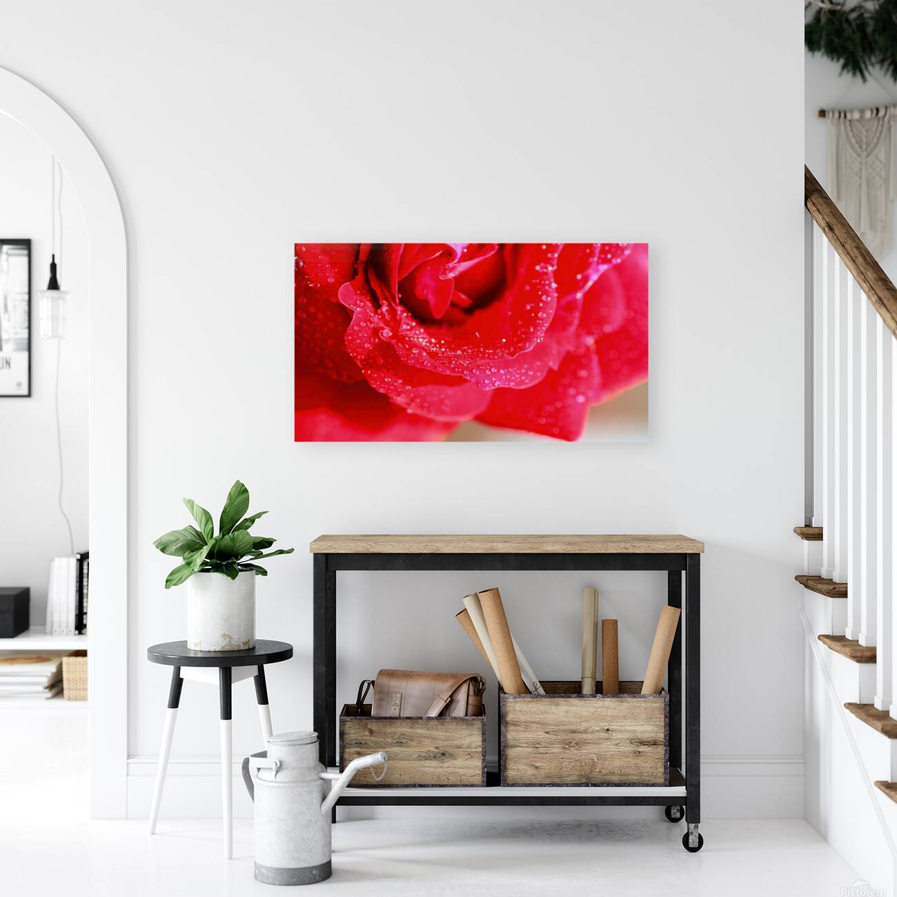 Rose petals Reproduction