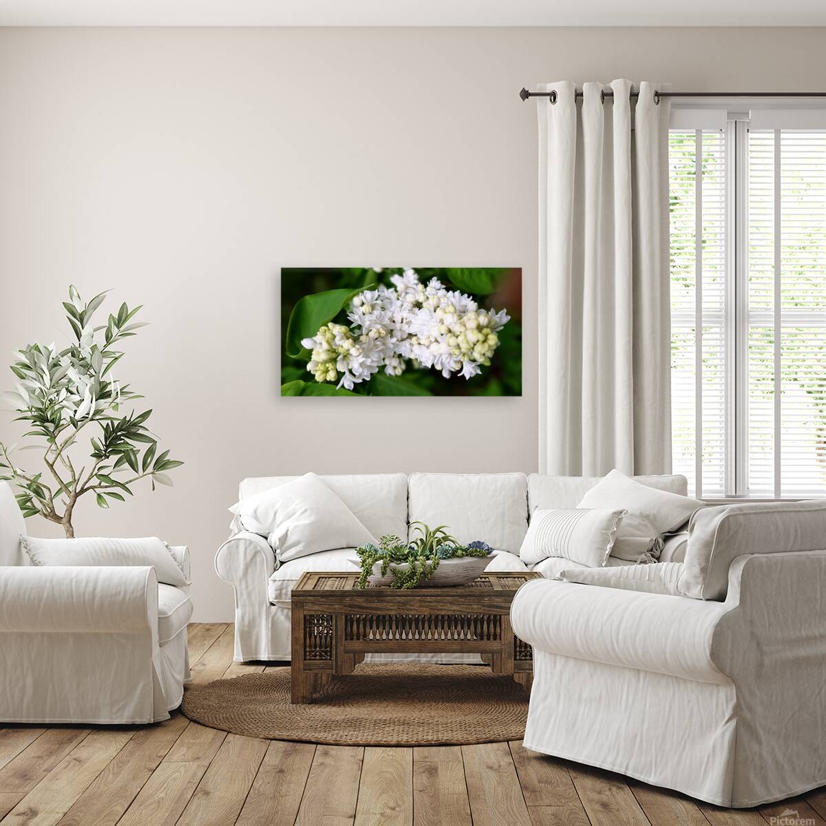 White lilacs Reproduction