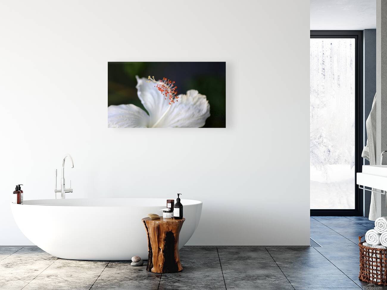 White hibiscus Reproduction