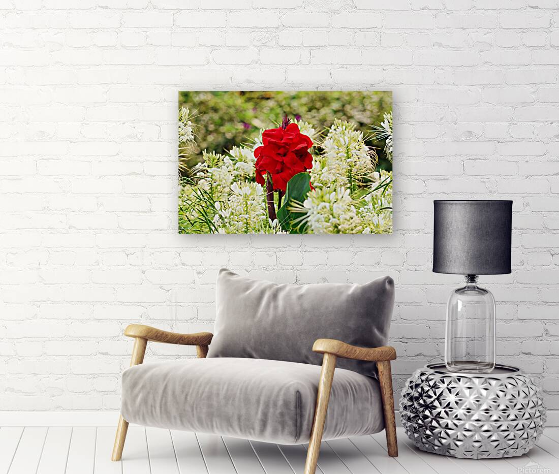 Red on white Reproduction