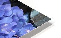 Blue and white HD Metal print