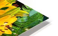 Dreamy iris HD Metal print