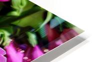Pink foxgloves HD Metal print
