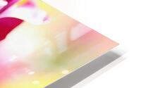 Colourful tulip HD Metal print