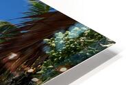 Grand Bay Mauritius HD Metal print