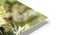 Red on white HD Metal print