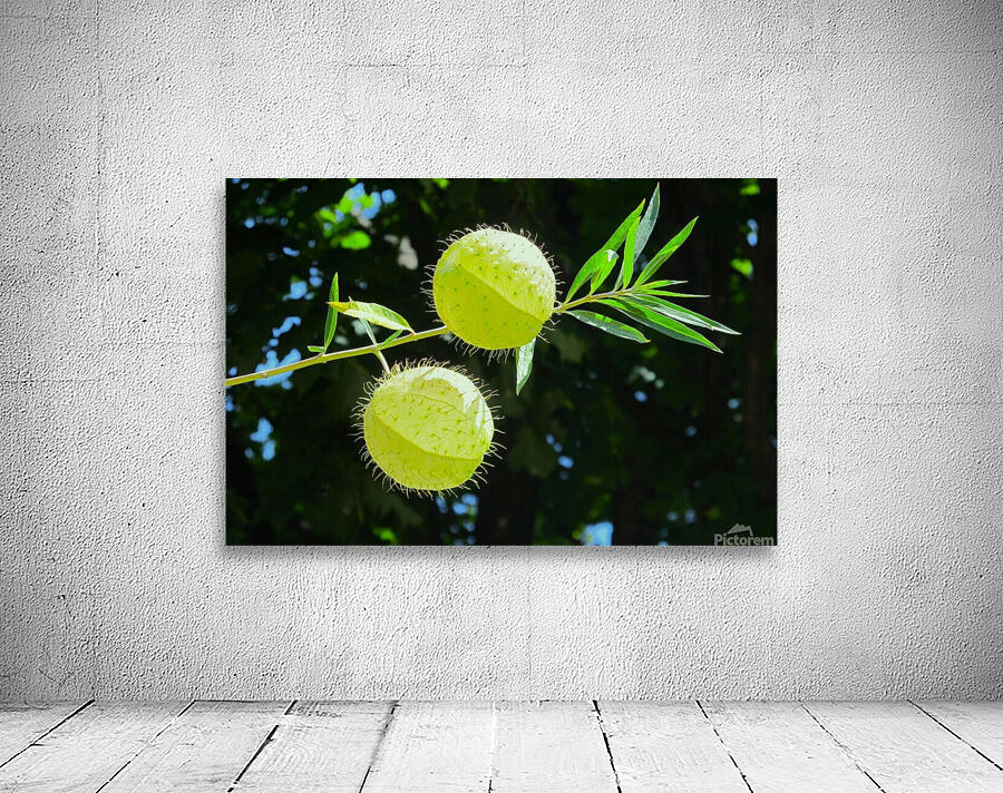 Flying balls Wall Preview