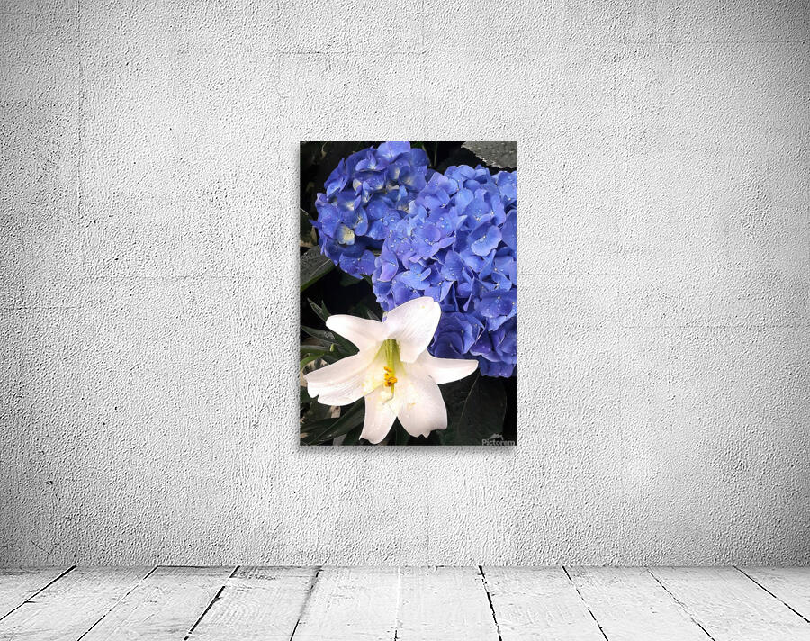 Blue and white Wall Preview