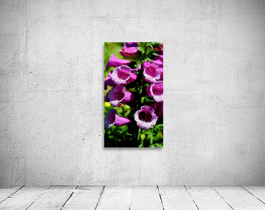 Pink foxgloves Wall Preview