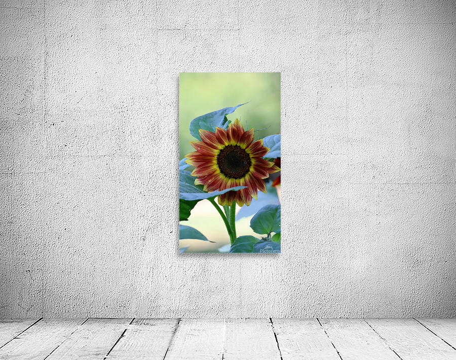 Hello sunshine Wall Preview