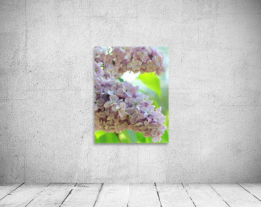 Pretty lilacs Wall Preview