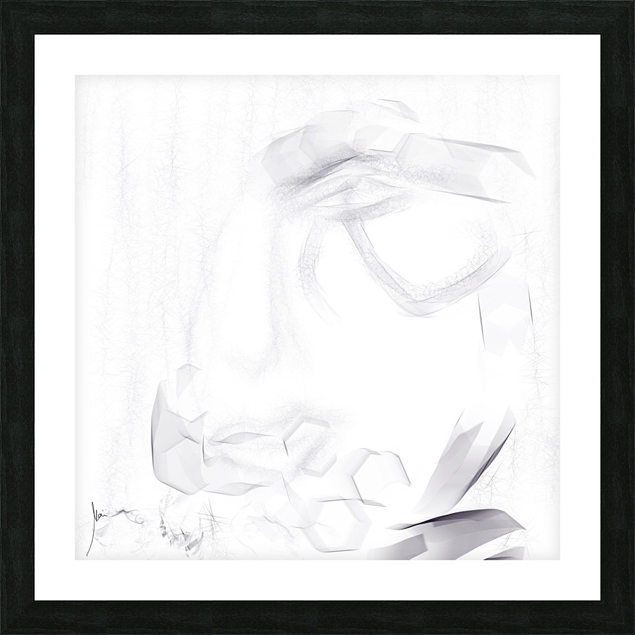 Anamorphic  Picture Frame print