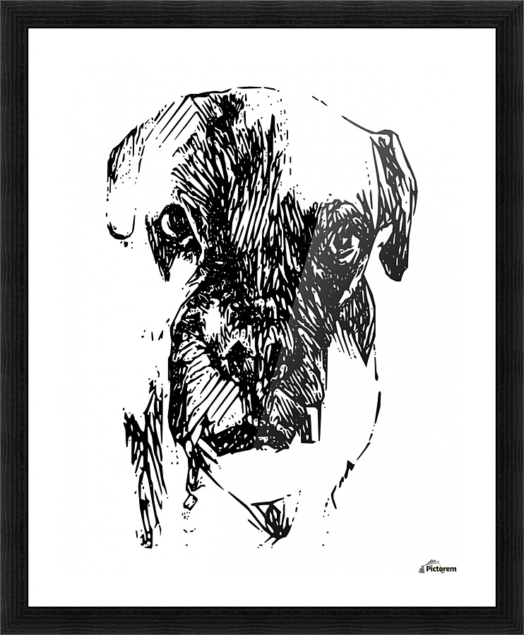 Boxer Picture Frame print