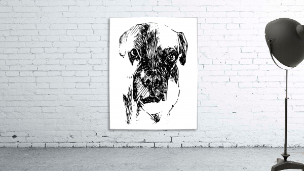 Boxer Wall Preview