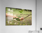 Nature Love Acrylic Print
