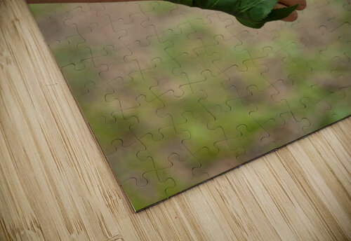 Nature Love nawal albilal puzzle