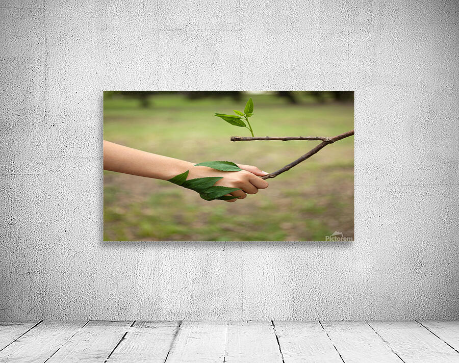 Nature Love Wall Preview