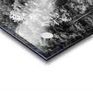 Green Abstract  1 Monochrome Acrylic print