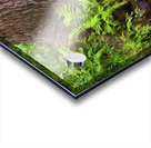 Abstract Close Up Paint 2 Acrylic print