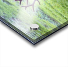 AnimalsInsects 3 Acrylic print
