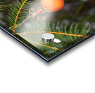 Christmas 3 Acrylic print