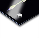 FlowersPlants 6 Acrylic print