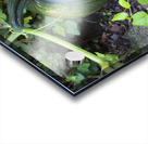 FlowersPlants 9 Acrylic print
